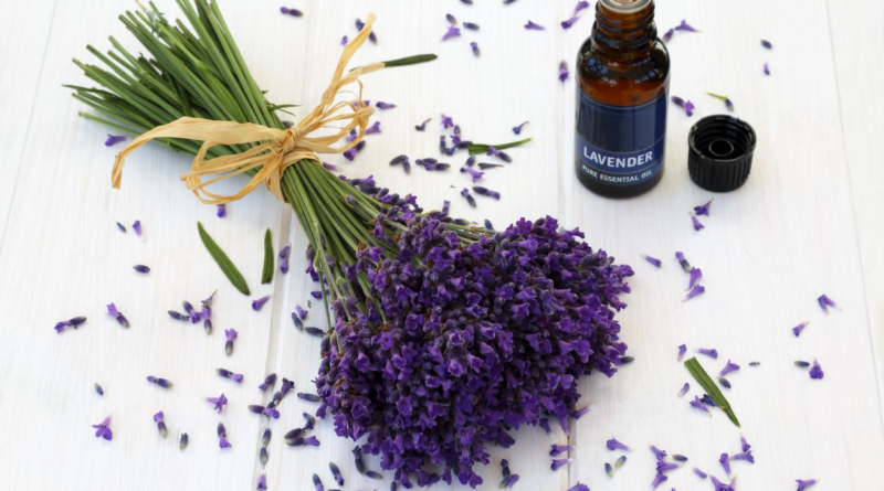 From Calming Lavender or Enlivening Citrus: Seven Types and Benefits of Essential Oils